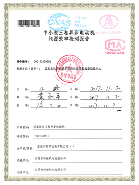 YE3-160M-4報(bào)告