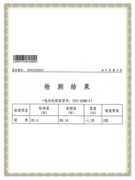 YE3-160M-4報告-檢測結(jié)果